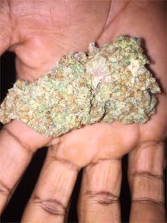 User uploaded image of Training Day