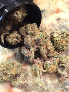 User uploaded image of Training Day