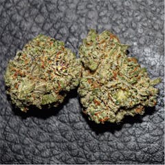 User uploaded image of Training Day