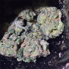 User uploaded image of Training Day