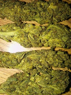 User uploaded image of Trainwreck