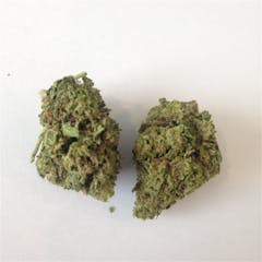 User uploaded image of Trainwreck