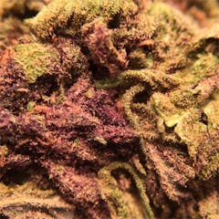 User uploaded image of Trainwreck