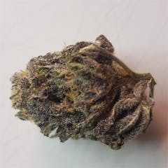 User uploaded image of Tranquil Elephantizer: Remix