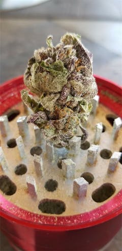 User uploaded image of Tranquil Elephantizer: Remix