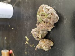 User uploaded image of Tranquil Elephantizer: Remix