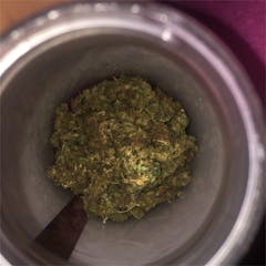 User uploaded image of Trash