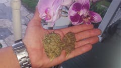 User uploaded image of Trash