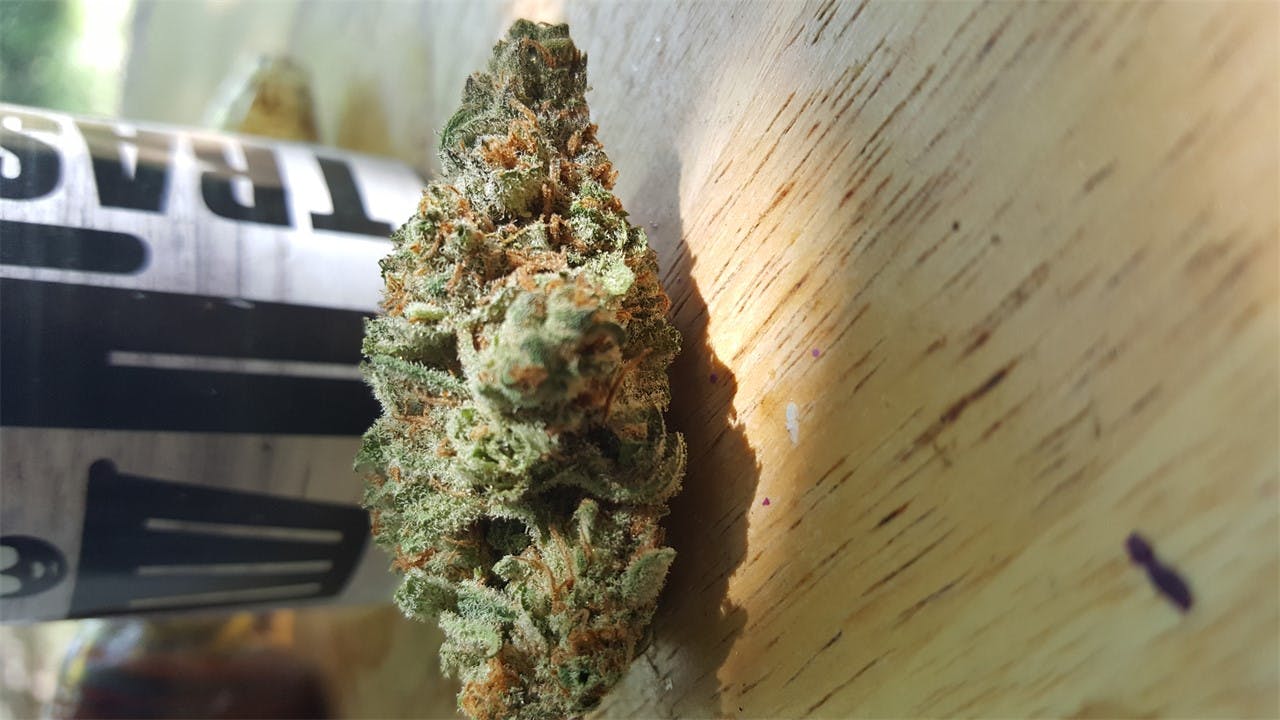 Trash Weed Strain Information Leafly