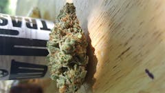 User uploaded image of Trash