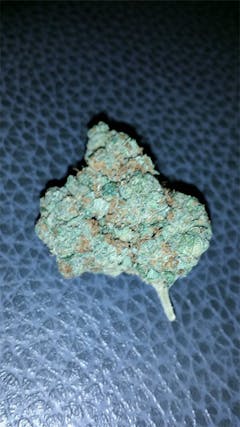 User uploaded image of Tres Dawg