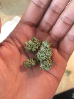 User uploaded image of Tres Dawg