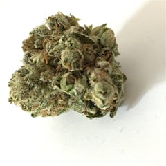 User uploaded image of Tres Dawg