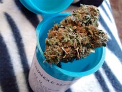 User uploaded image of Triangle Kush