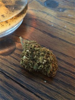 User uploaded image of Triangle Kush