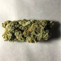 User uploaded image of Triangle Kush