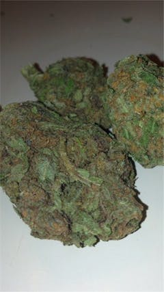 User uploaded image of Trident