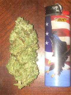 User uploaded image of Trident