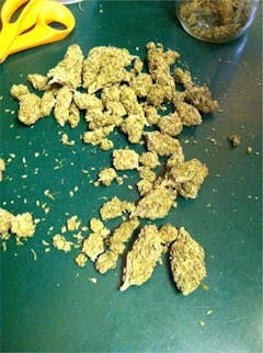 User uploaded image of Trifecta