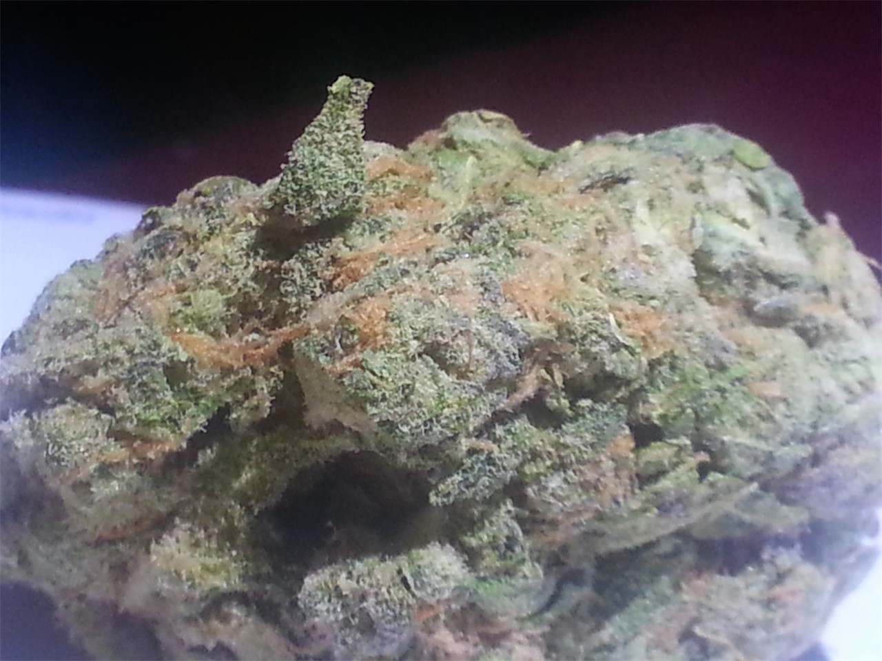 Trifecta Marijuana Strain Information Leafly