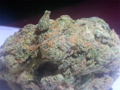 User uploaded image of Trifecta