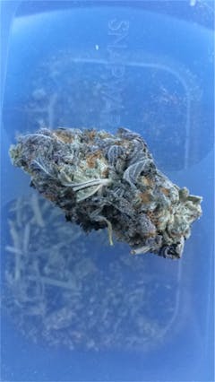 User uploaded image of Trifecta