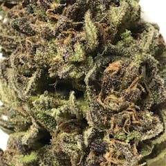 User uploaded image of Trinity