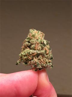 User uploaded image of Trinity