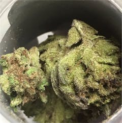 User uploaded image of Trinity