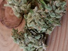 User uploaded image of Tropic Thunder
