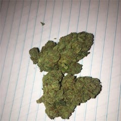 User uploaded image of Tropic Thunder