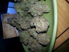 User uploaded image of Tropical Tang