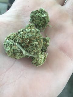 User uploaded image of Tropical Tang