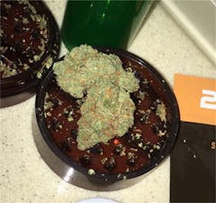 User uploaded image of Tropical Tang