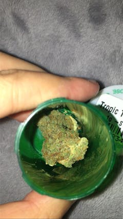 User uploaded image of Tropical Tang