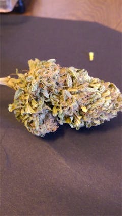 User uploaded image of Tropical Tang