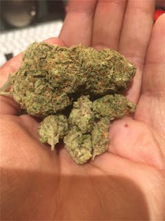 User uploaded image of Tropicali