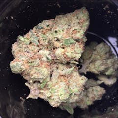 User uploaded image of Tropicali