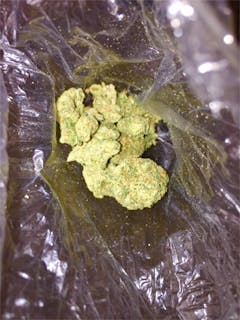 User uploaded image of Tropicali