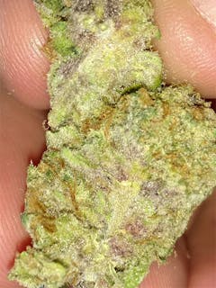 User uploaded image of Tropicali