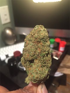 User uploaded image of Tropicali