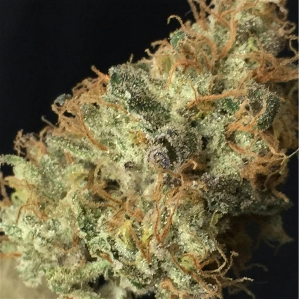 true-og-weed-strain-information-leafly