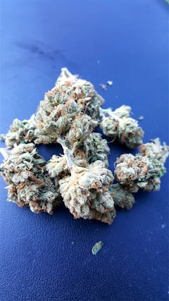 User uploaded image of True OG