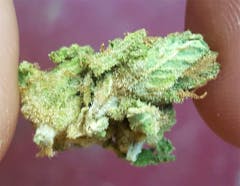 User uploaded image of Truth Serum