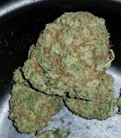 User uploaded image of Tuna Kush