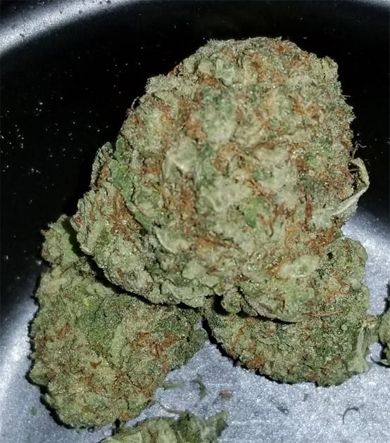 Photos of Tuna Kush Weed Strain Buds Leafly