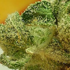 User uploaded image of Tuna Kush