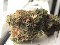 User uploaded image of Tuna Kush