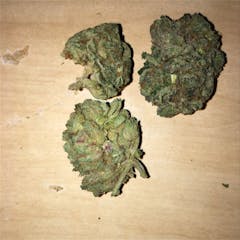 User uploaded image of Tuna Kush