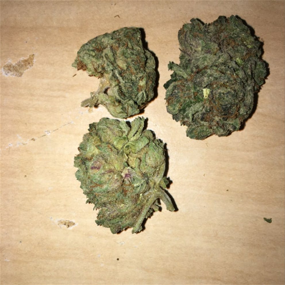 Photos of Tuna Kush Weed Strain Buds Leafly